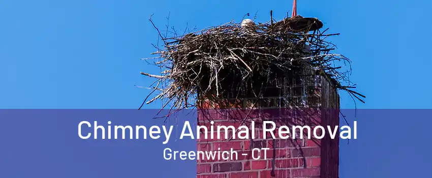 Chimney Animal Removal Greenwich - CT