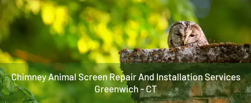 Chimney Animal Screen Repair And Installation Services Greenwich - CT