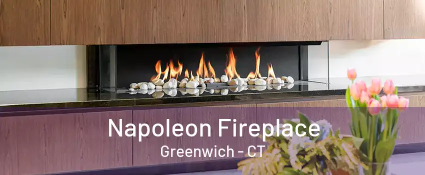 Napoleon Fireplace Greenwich - CT